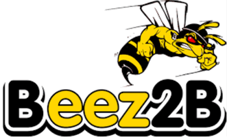 Beez2B, marque de modélisme RC - Breizh Modélisme.