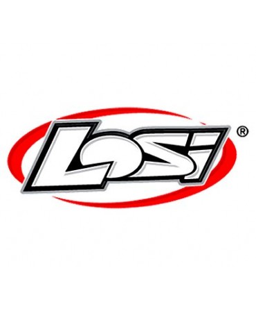 Moto Losi Promoto 1/4 - Breizh Modélisme.