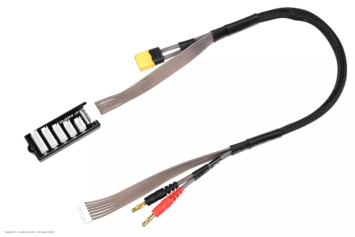 Câble de charge et d'équilibrage Pro XH 2-6S - 4 mm - XT60 femelle - GF-1208-011
